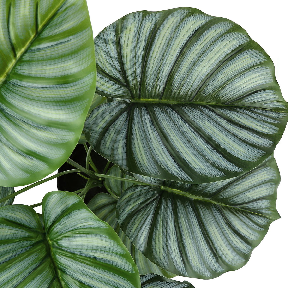 24" Tall, Artificial Plant, Calathea, Indoor, Faux, Fake, Table, Greenery, Potted, Real Touch, Decorative - Green / Black