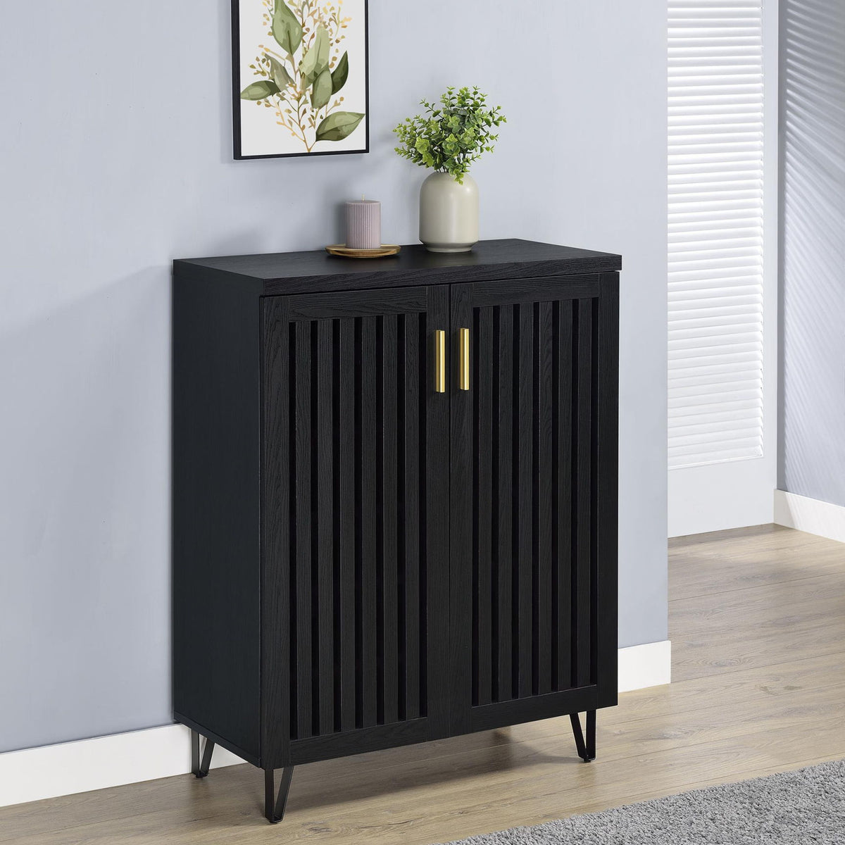 Brixton 2-door Entryway Shoe Storage Cabinets Black