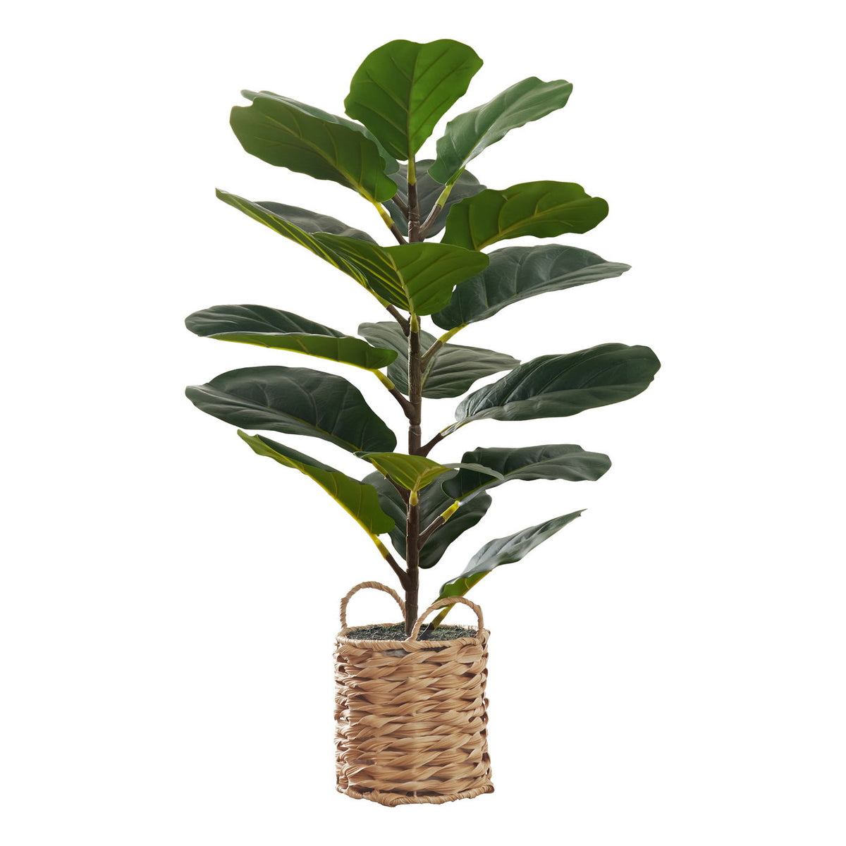 28" Tall, Artificial Plant, Fiddle Tree, Indoor, Faux, Fake, Floor, Greenery, Potted, Real Touch, Decorative - Green / Beige