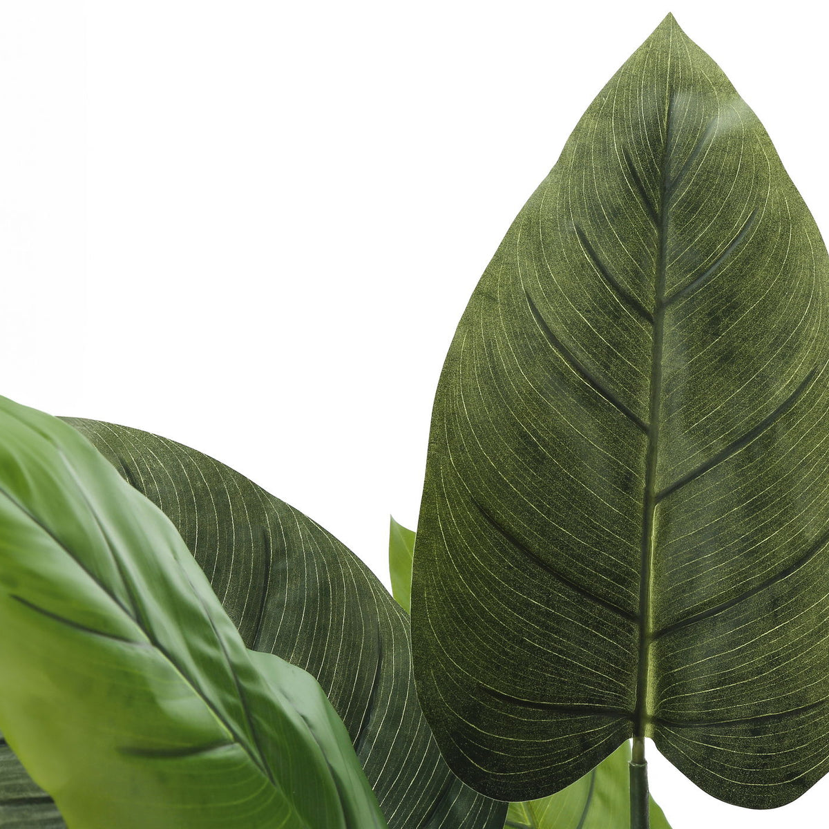 37" Tall, Artificial Plant, Aureum Tree, Indoor, Faux, Fake, Floor, Greenery, Potted, Real Touch, Decorative - Green / Black