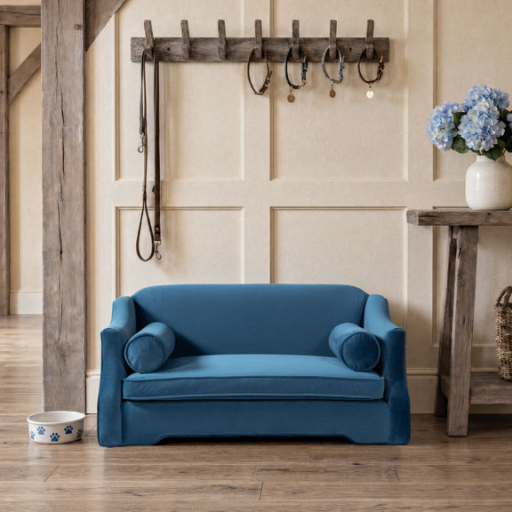 Blue dog sofa bed with plush upholstery, low back, and two rounded arm bolster pillows