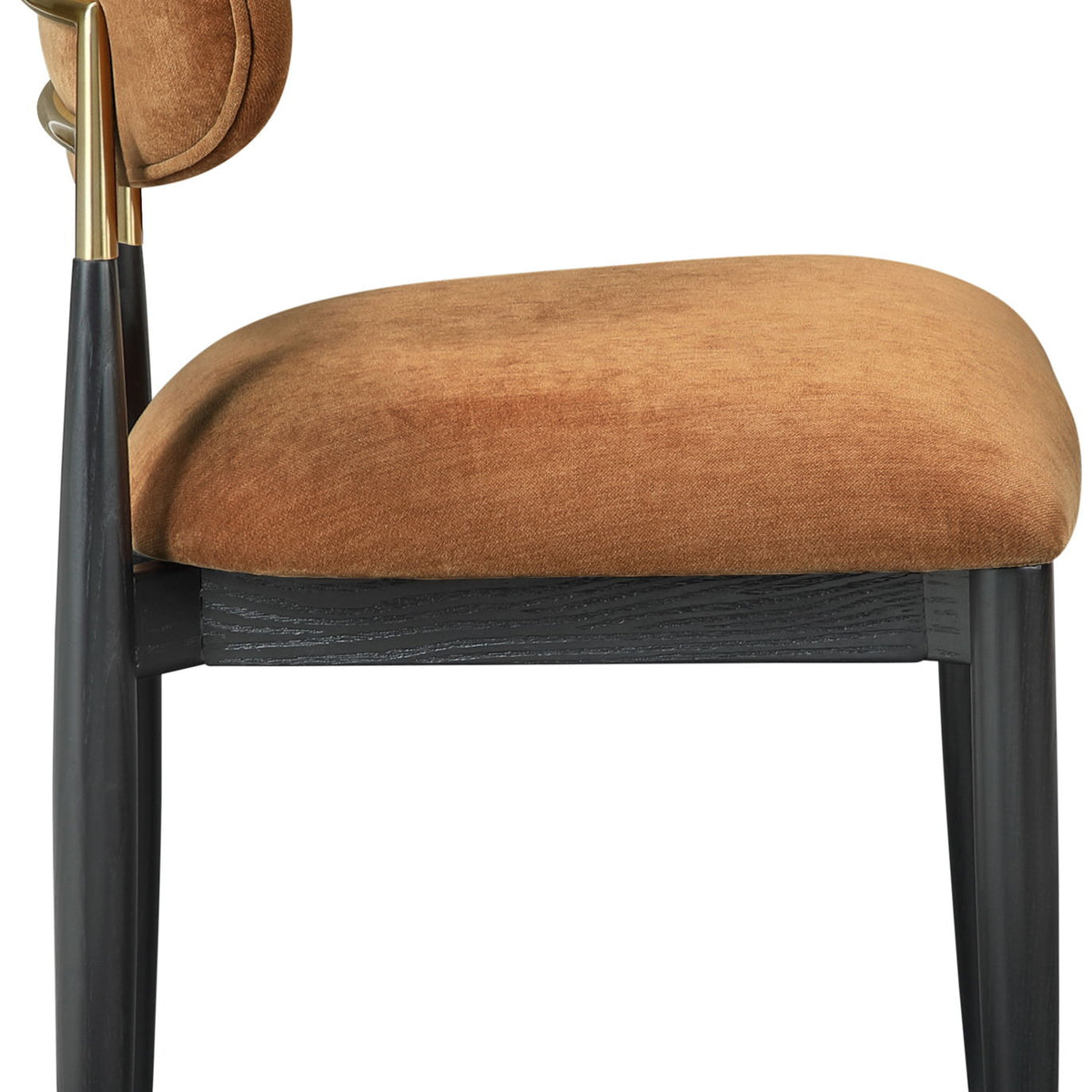 Riccio - Fabric Dining Side Chair (Set of 2) - Black And Gold Frame