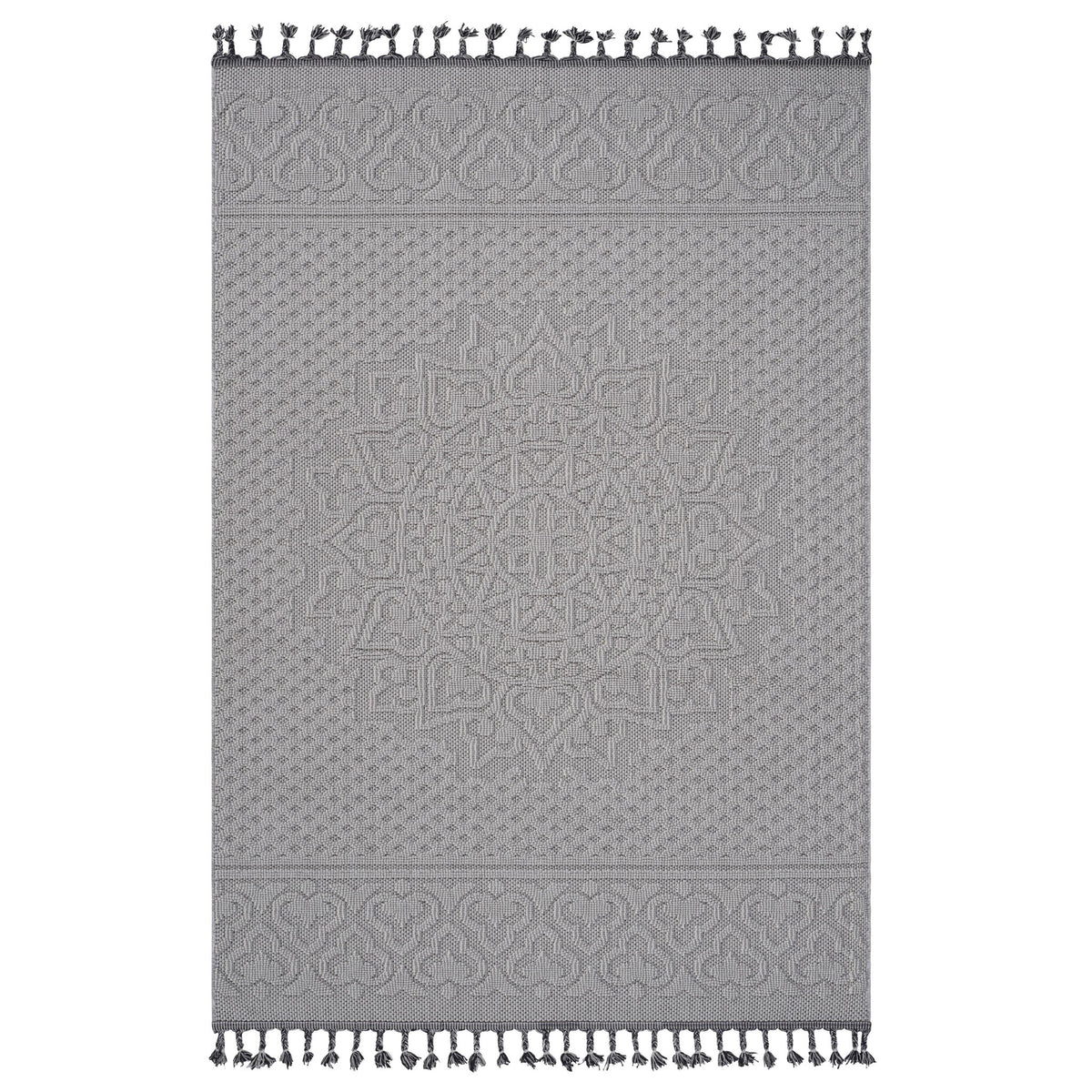 Light gray and white medallion area rug with patterned border and tassel fringe