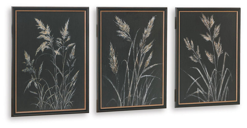 Set of three framed botanical leaf prints with pale feather-like stems on dark background