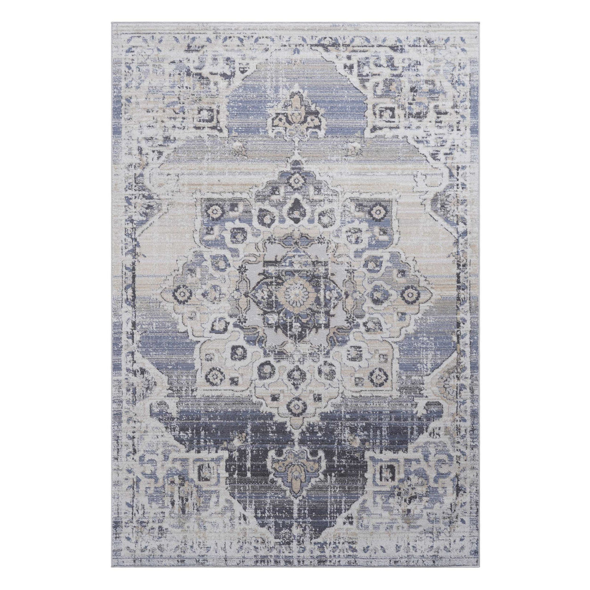 Medallion area rug with light gray and blue distressed pattern, centered full view.