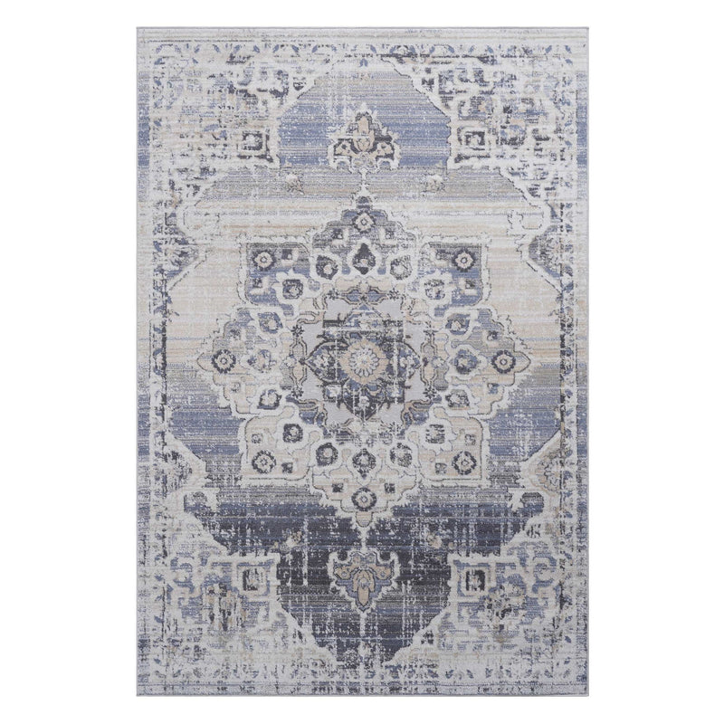 Medallion area rug with light gray and blue distressed pattern, centered full view.