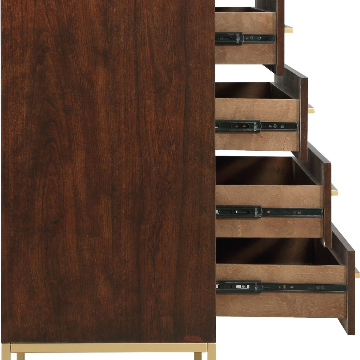 Maxine - Chest