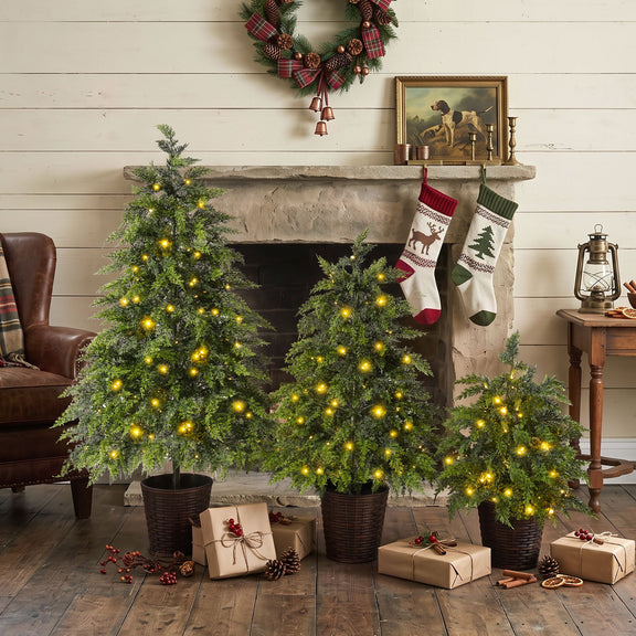 Three pre-lit artificial Christmas trees with warm LED lights and dark woven pot bases.