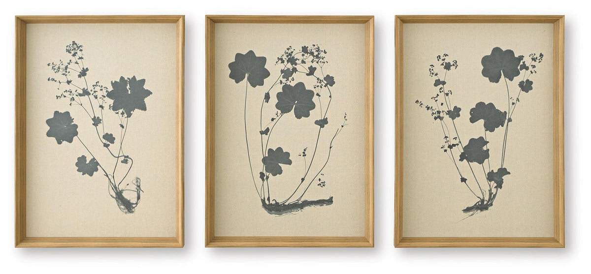 Set of 3 framed linen botanical wall art prints with black flower stem silhouettes