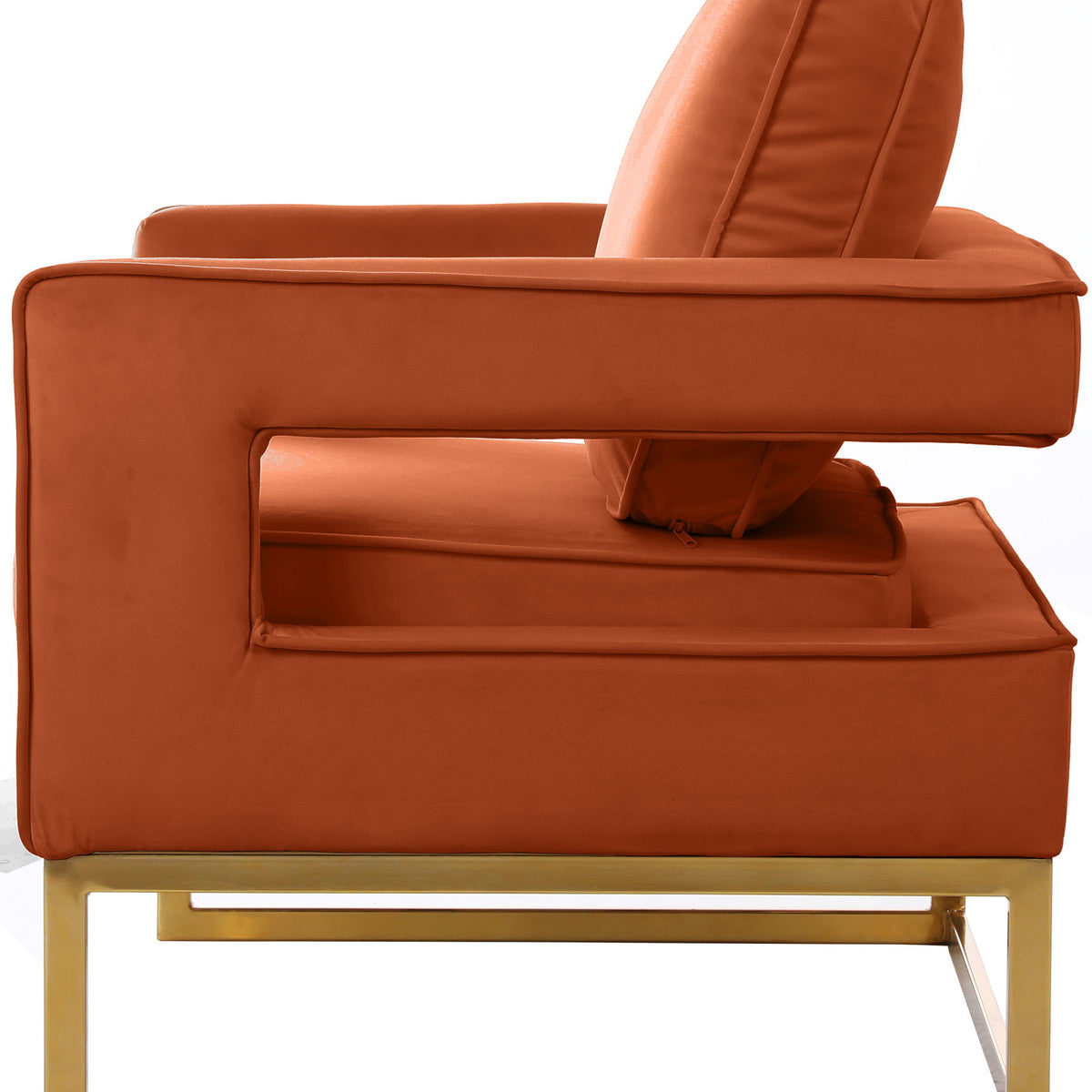 Noah - Accent Chair with Gold Legs