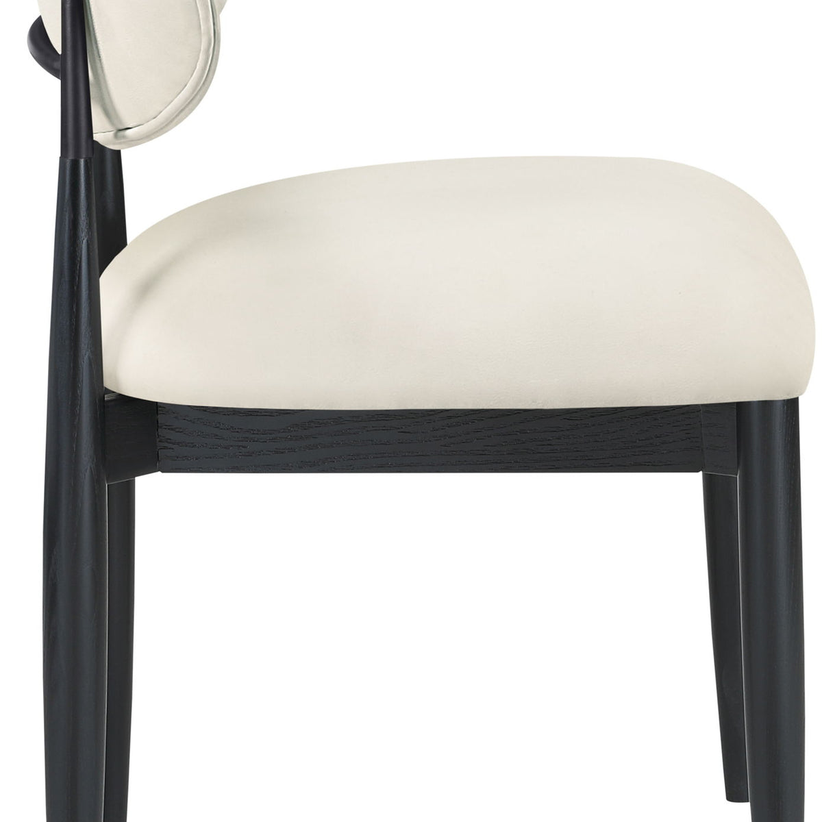 Riccio - Side Chair (Set of 2) - Black Frame