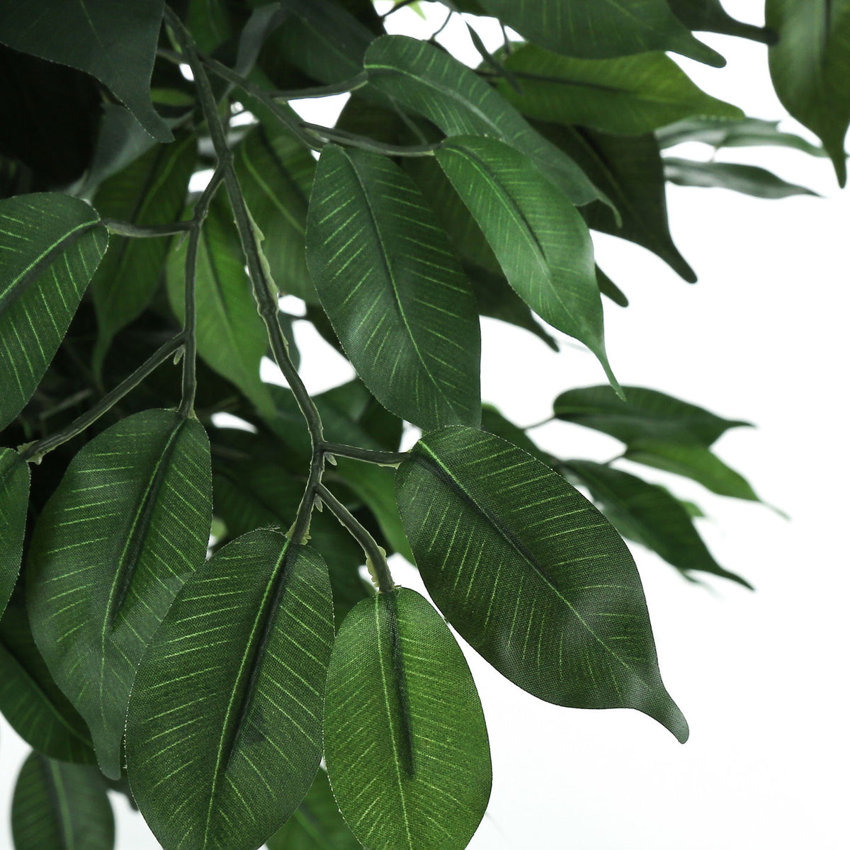58" Tall, Artificial Plant, Ficus Tree, Indoor, Faux, Fake, Floor, Greenery, Potted, Decorative - Green / Black