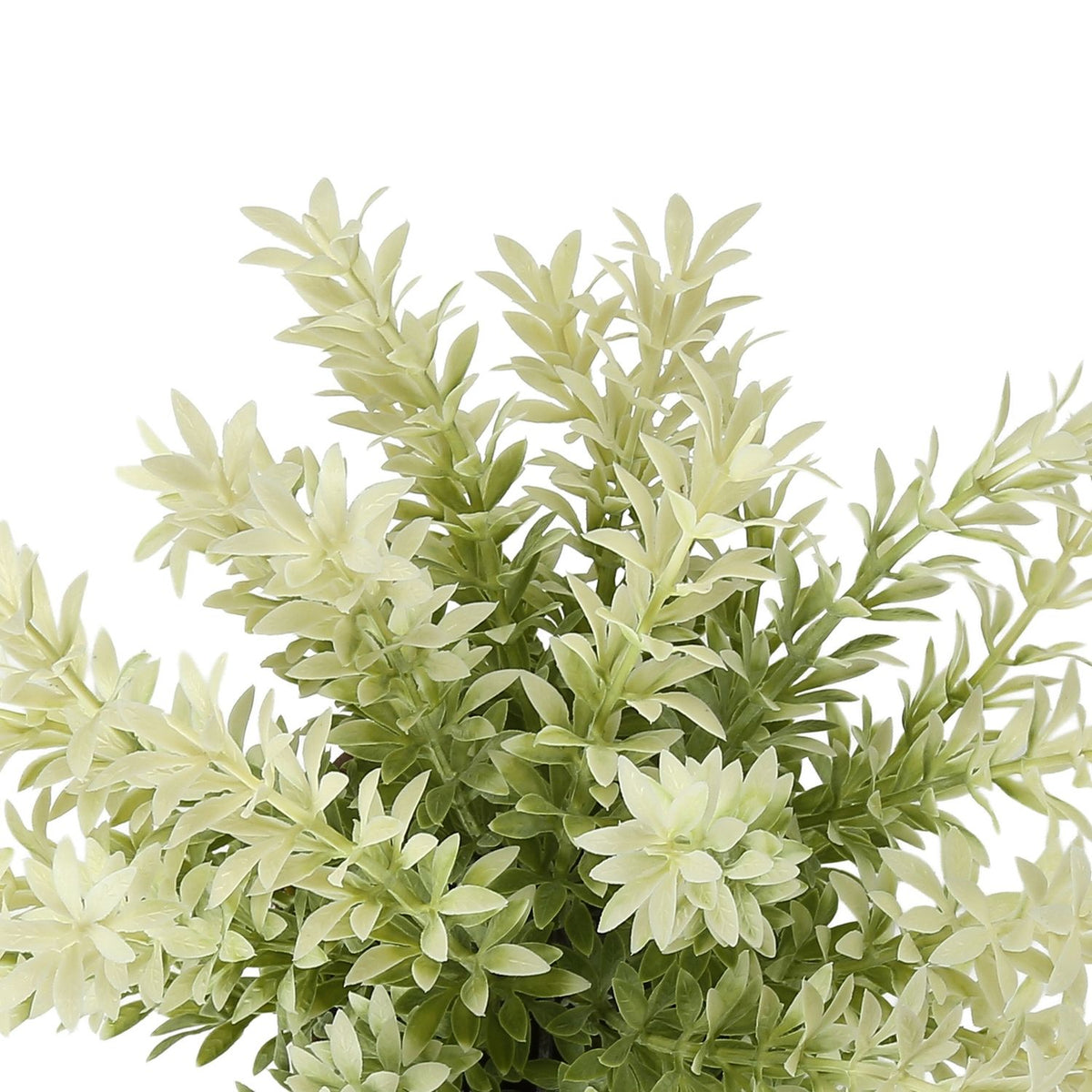 Artificial Plant, Mulberry Grass, Table Decor (Set of 2) - Green