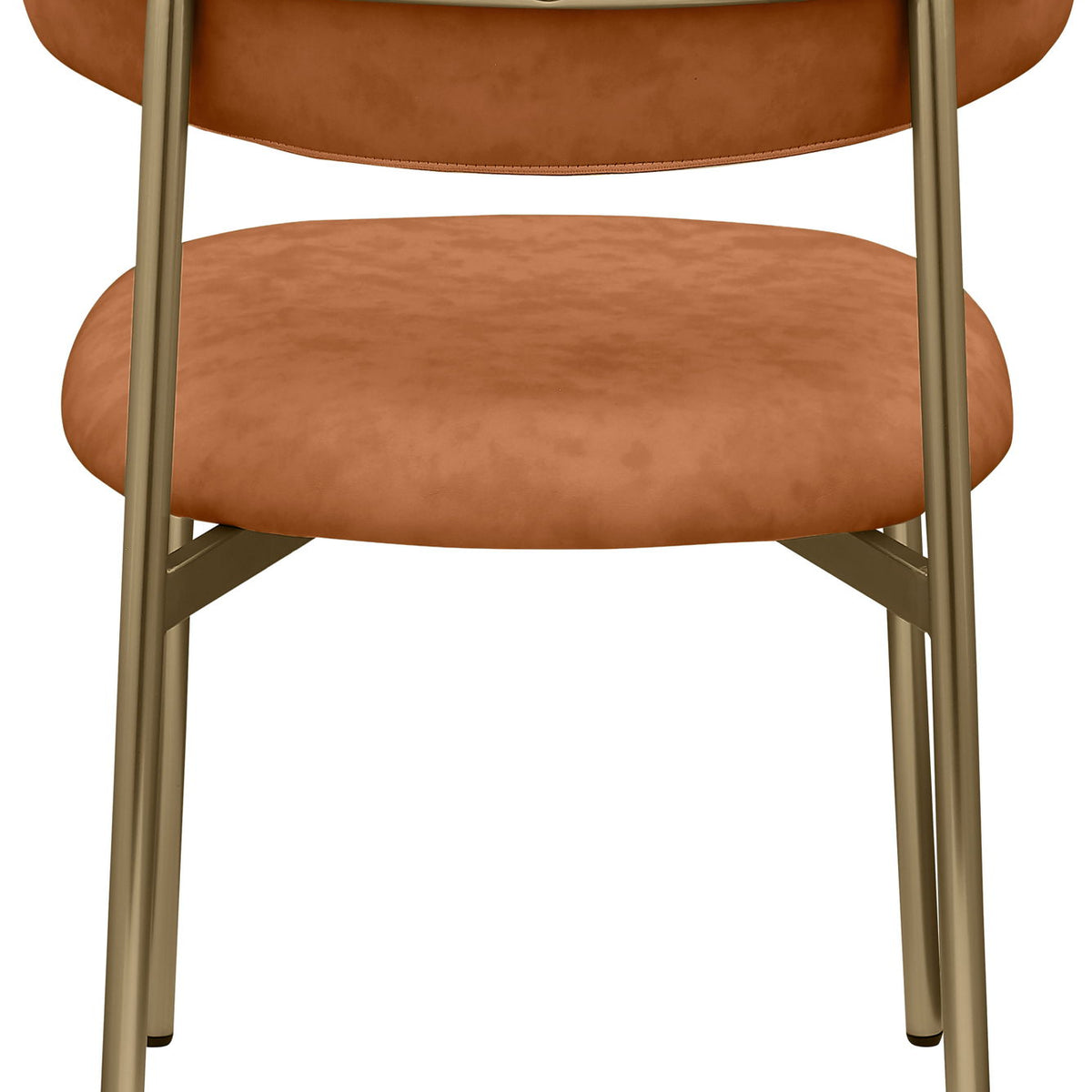 Lupita - Dining Chair With Brushed Gold Legs (Set of 2)