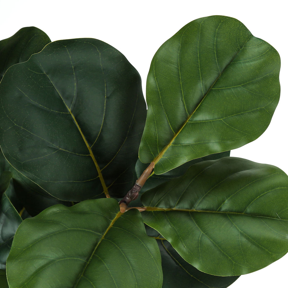 32" Tall, Artificial Plant, Fiddle Tree, Indoor, Faux, Fake, Floor, Greenery, Potted, Real Touch, Decorative - Green / Black