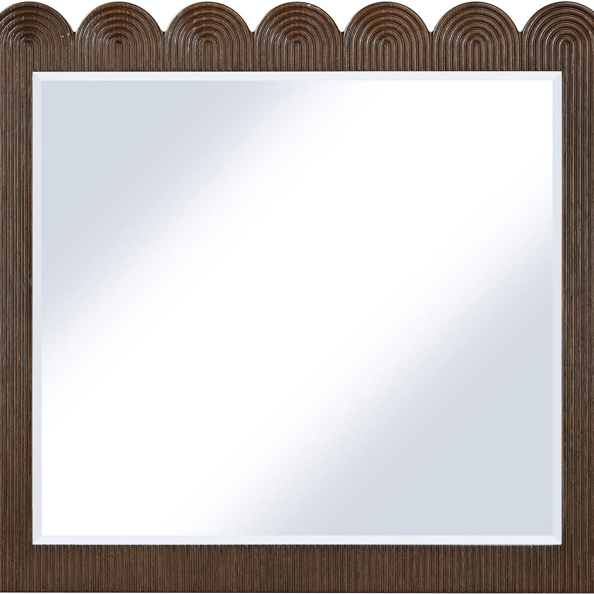 Scallop - Mirror