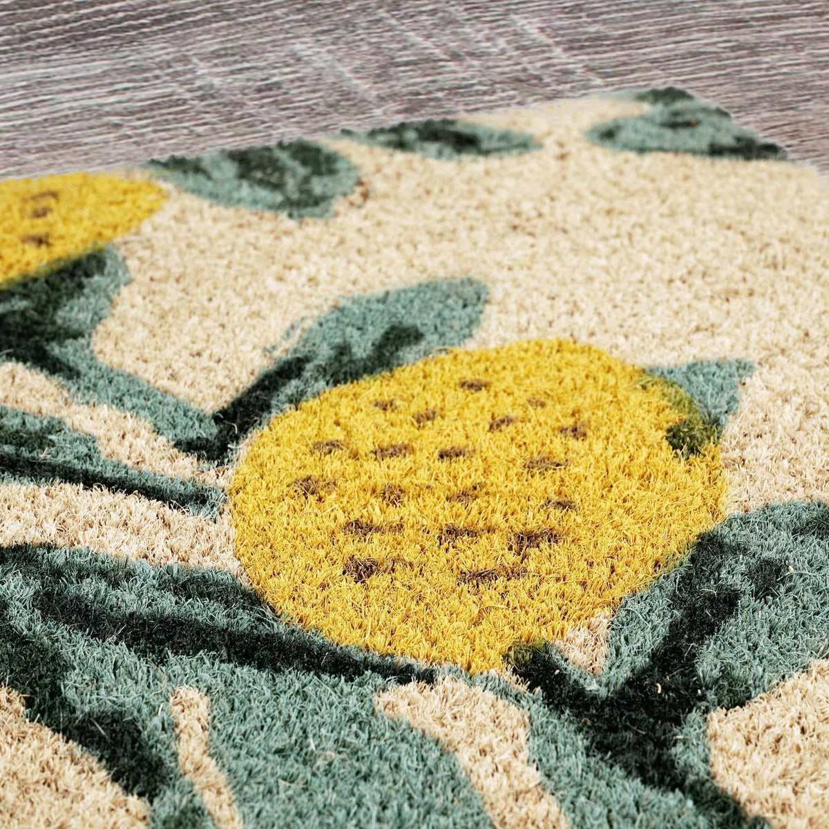 Doormats - 24 x 36 Doormat - Lemon Tree / Multi