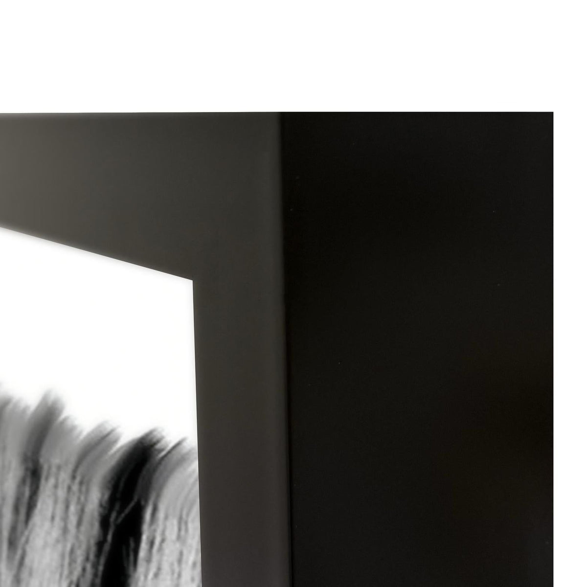 Zebras - 48" x 72" Photography - Black / White
