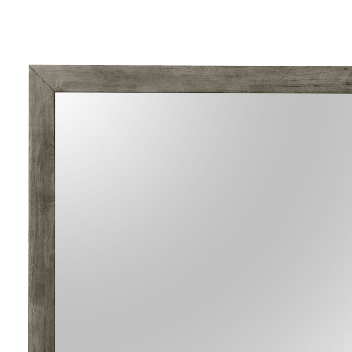 Modern Design Transitional Wall Mirror