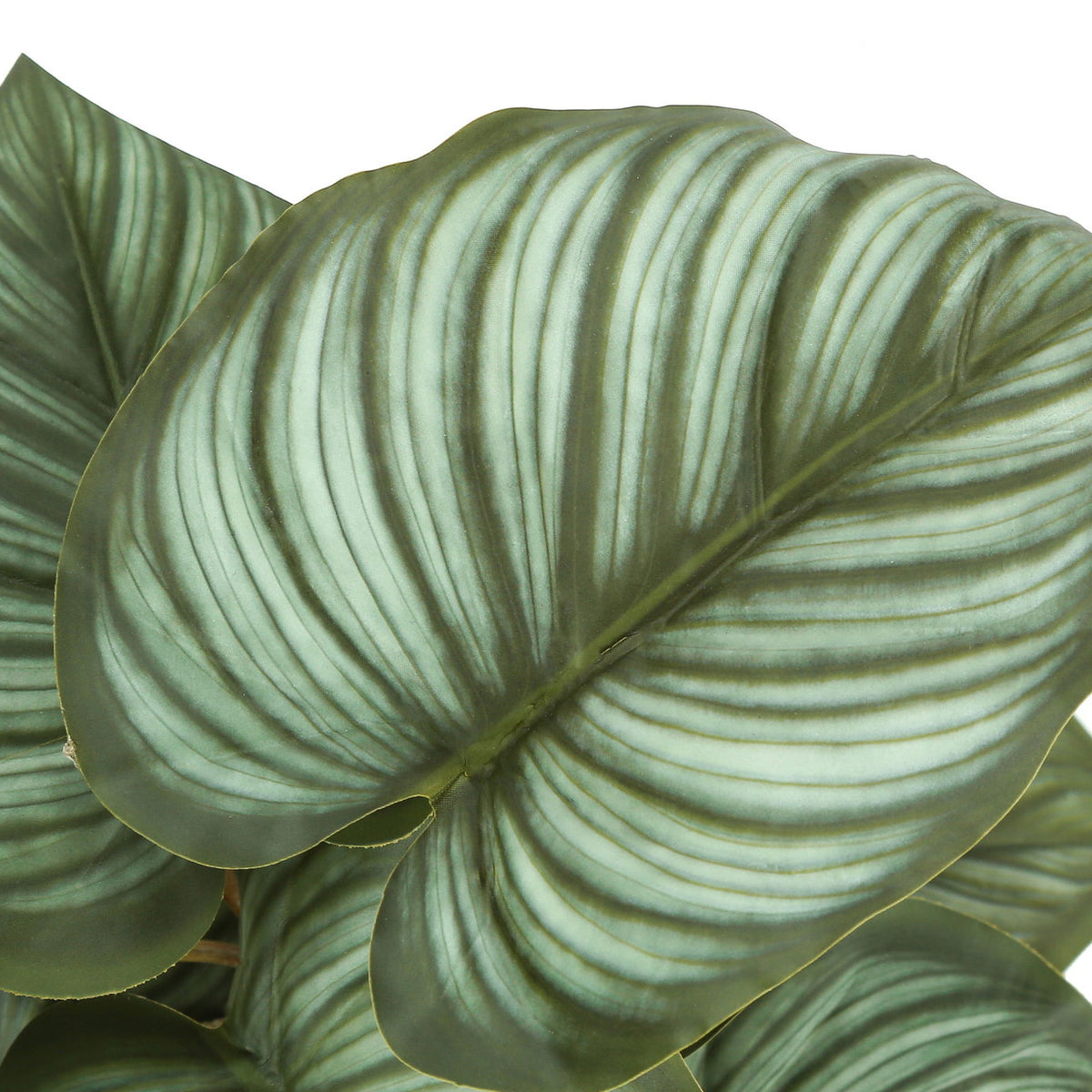 13" Tall, Artificial Plant, Epipremnum, Indoor, Faux, Fake, Table, Greenery, Potted, Decorative (Set of 2) - Green / Black