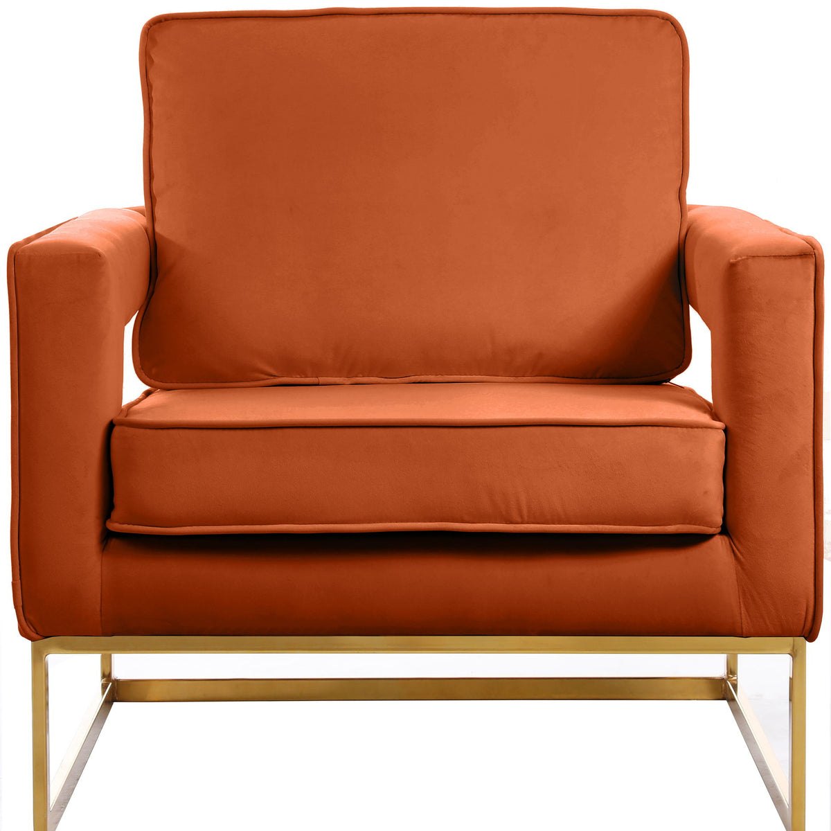 Noah - Accent Chair with Gold Legs