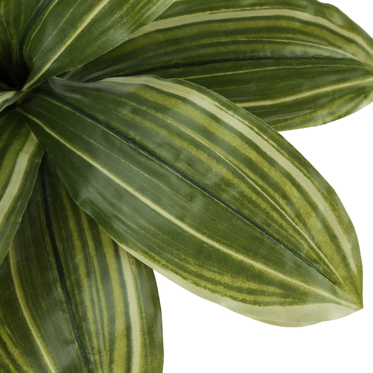 17" Tall, Artificial Plant, Dracaena, Indoor, Faux, Fake, Table, Greenery, Potted, Real Touch, Decorative - Green / Black