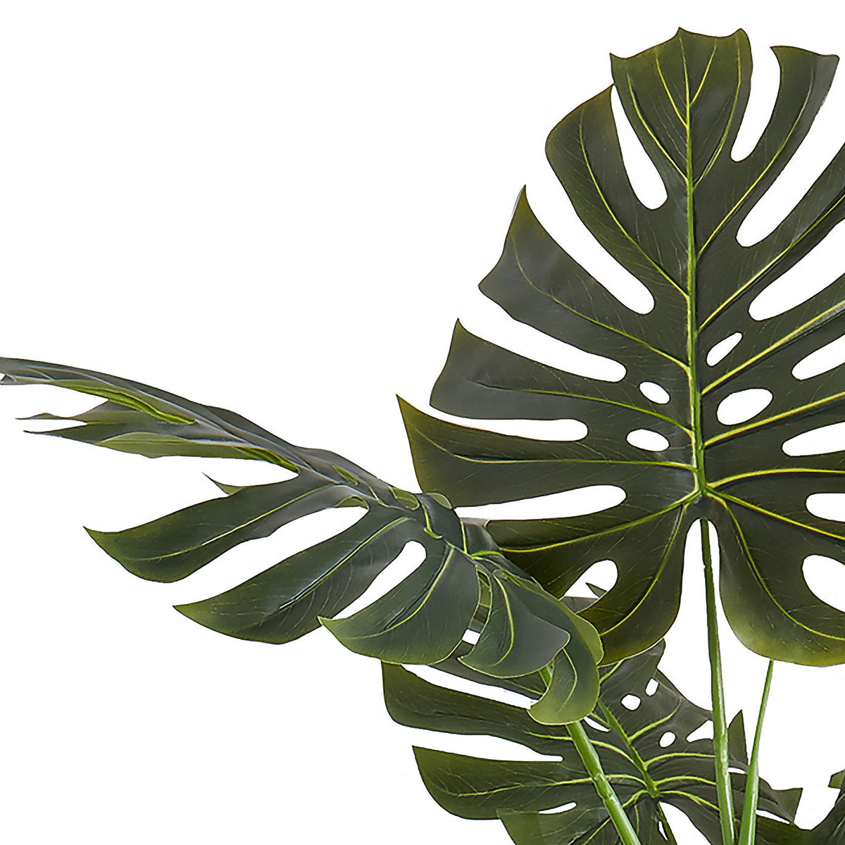 55" Tall, Artificial Plant, Monstera Tree, Indoor, Faux, Fake, Floor, Greenery, Potted, Real Touch, Decorative - Green / Black