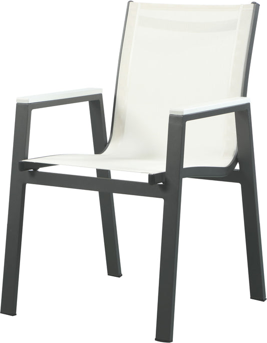 Nizuc - Outdoor Patio Dining Arm Chair With Gray Frame (Set of 2)