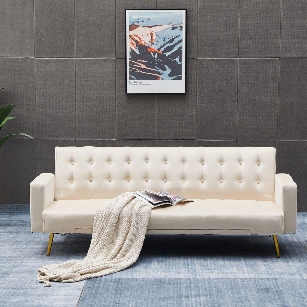 Comfort Compact Design Sofa Bed