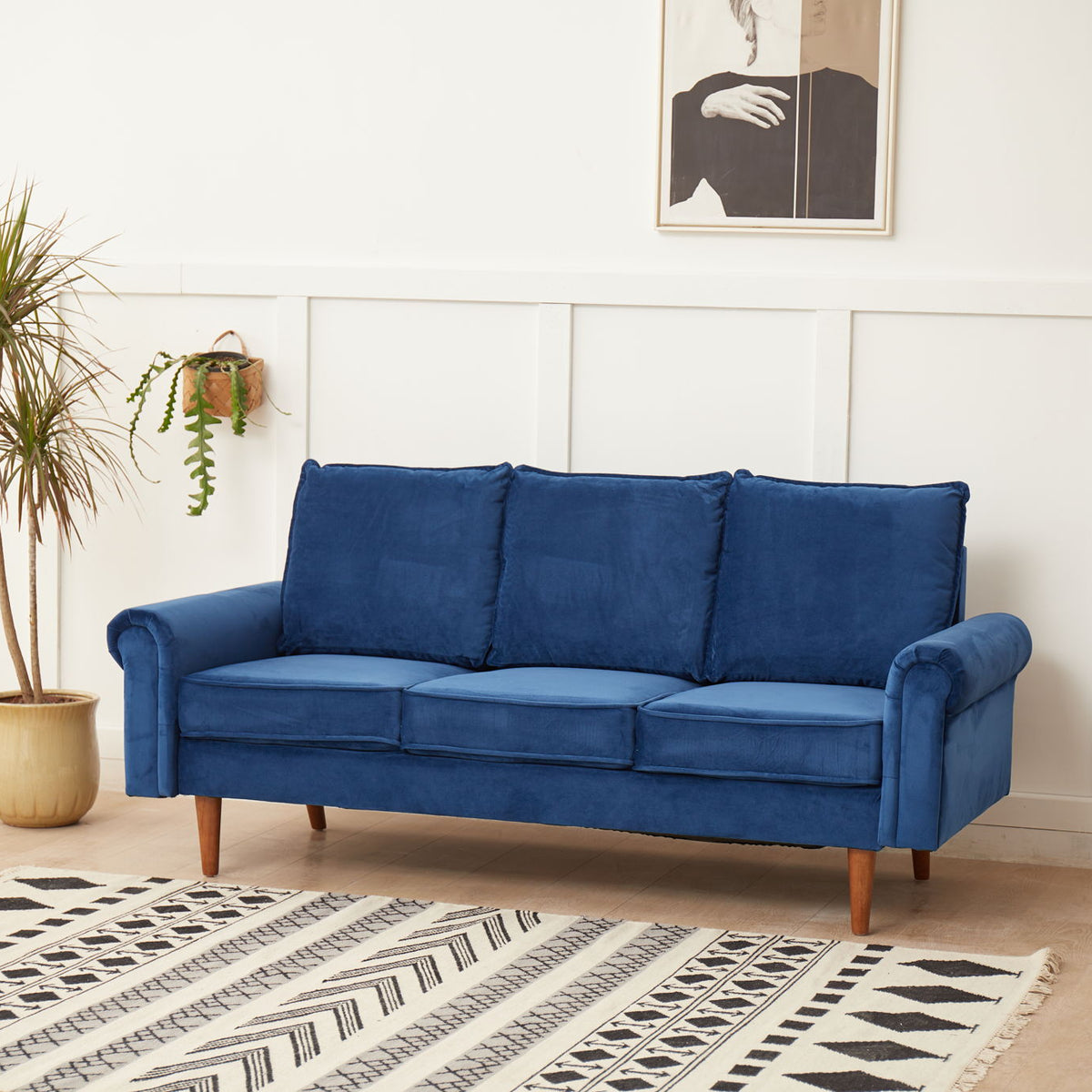 Graceful Design Plush Comfort Sofa