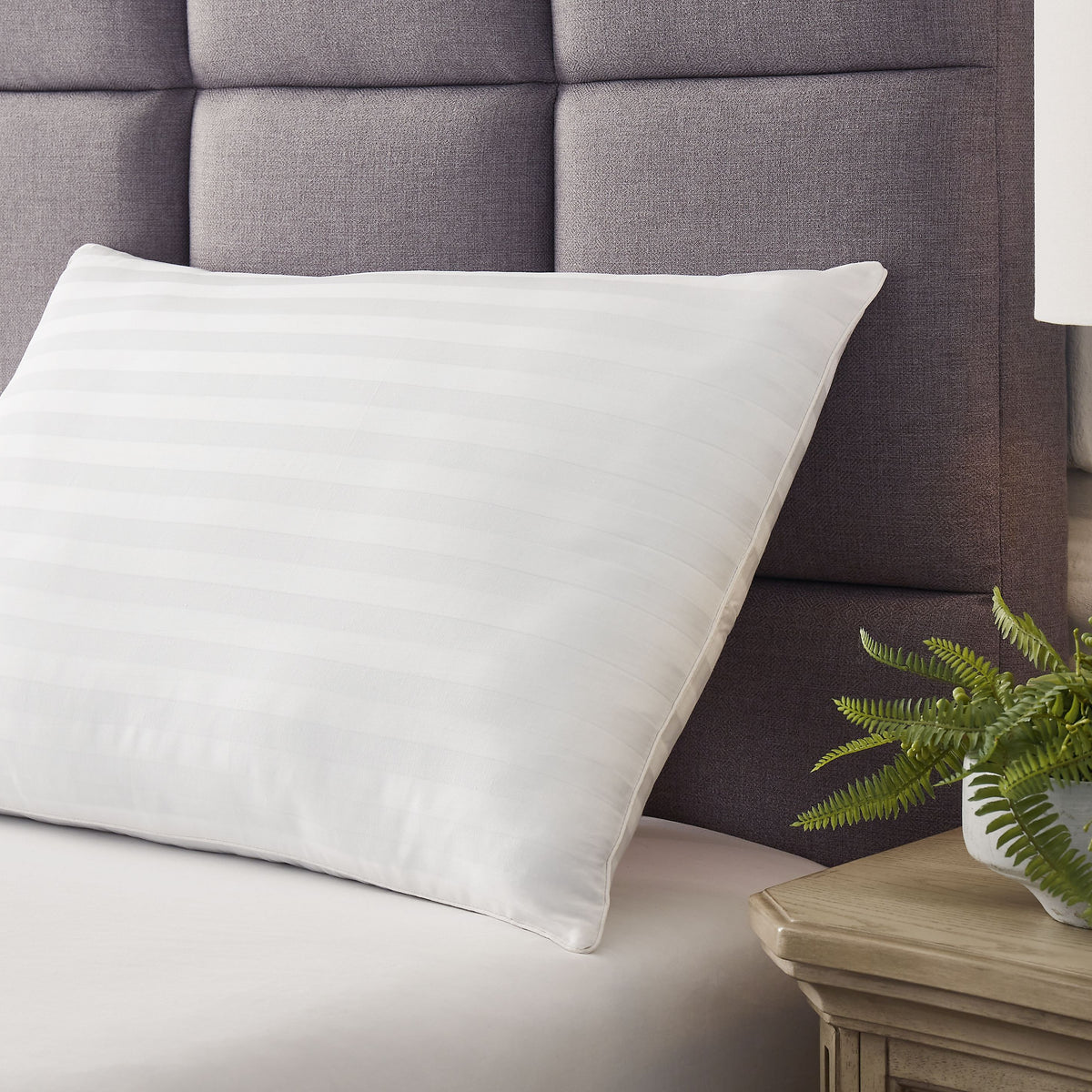 Zephyr 2.0 - Cotton Pillow