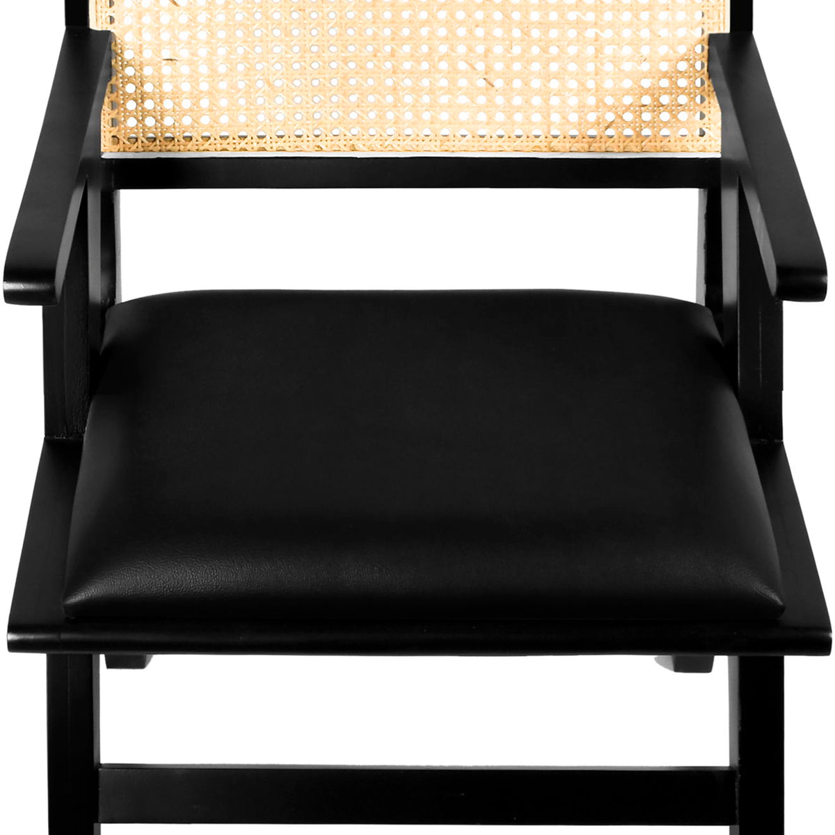 Abby - Dining Arm Chair (Set of 2)