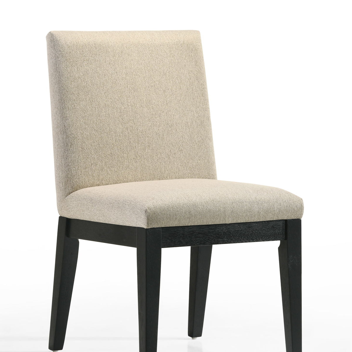Jasper - Contemporary Fabric 19" Dining Chair (Set of 2)