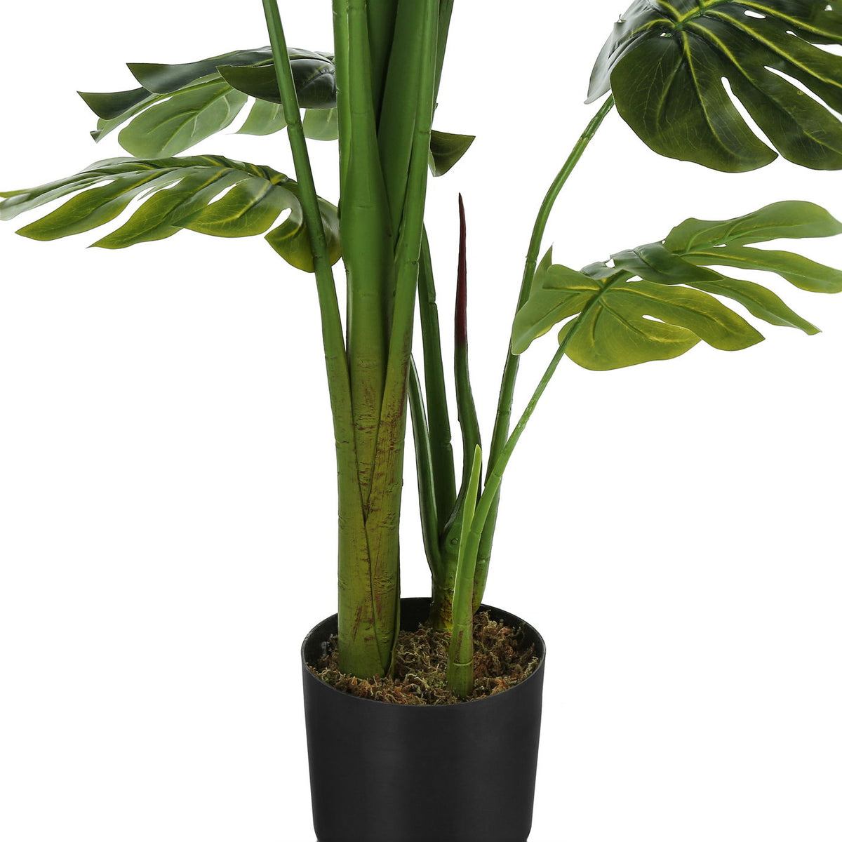 55" Tall, Artificial Plant, Monstera Tree, Indoor, Faux, Fake, Floor, Greenery, Potted, Real Touch, Decorative - Green / Black