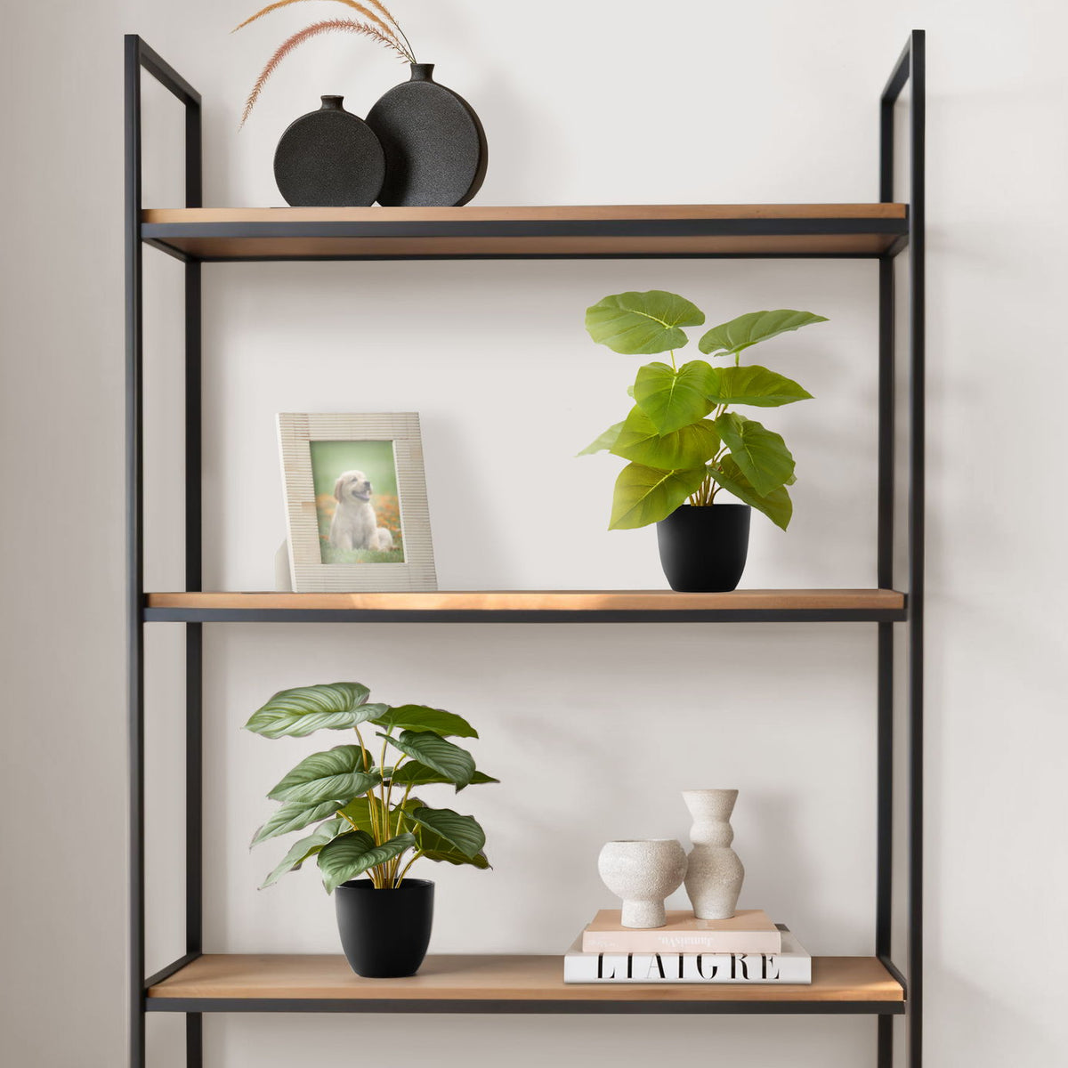 13" Tall, Artificial Plant, Epipremnum, Indoor, Faux, Fake, Table, Greenery, Potted, Decorative (Set of 2) - Green / Black