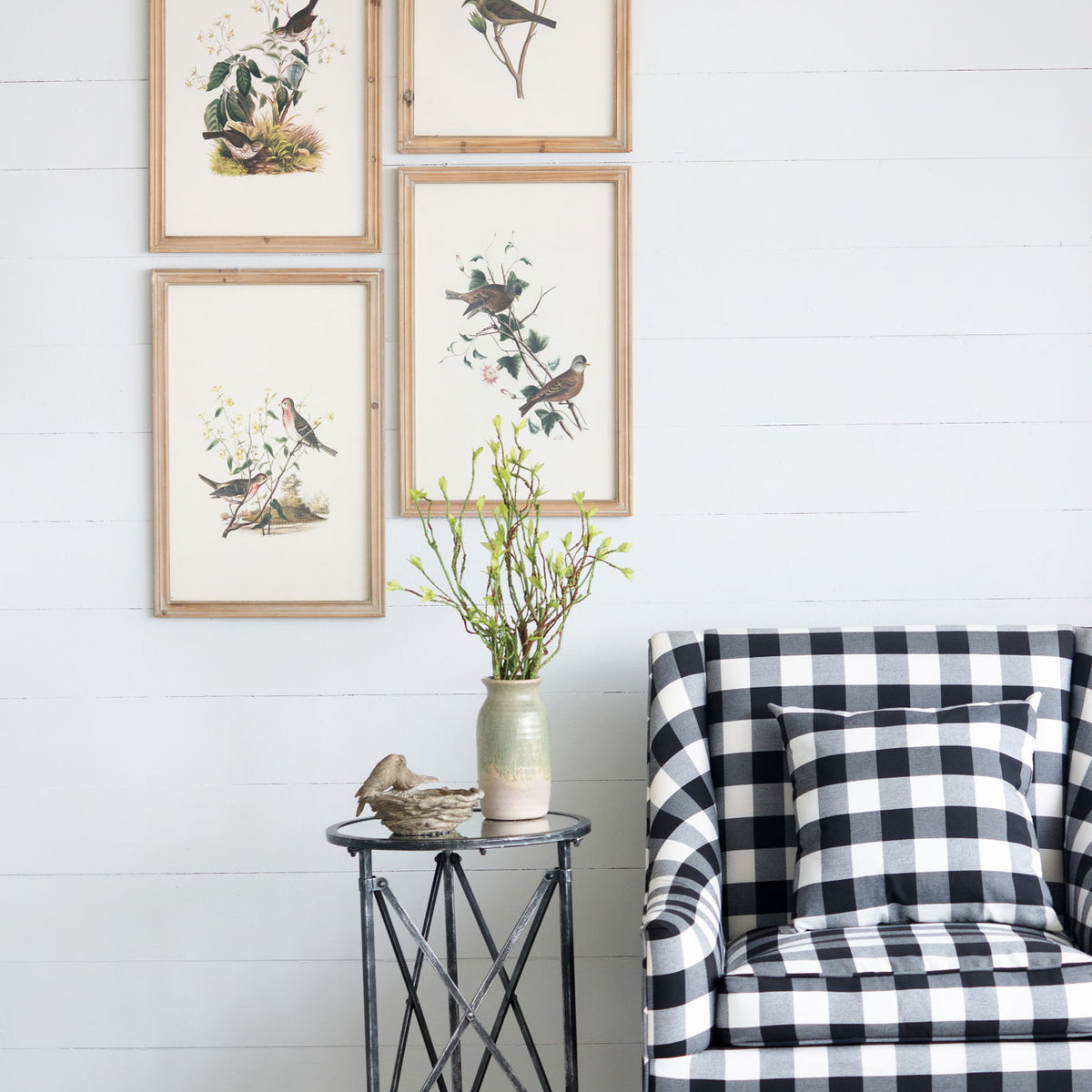 Bird Framed Print (Set of 4) - Multicolor