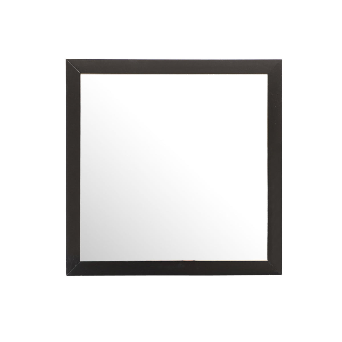 Modern Design Transitional Wall Mirror