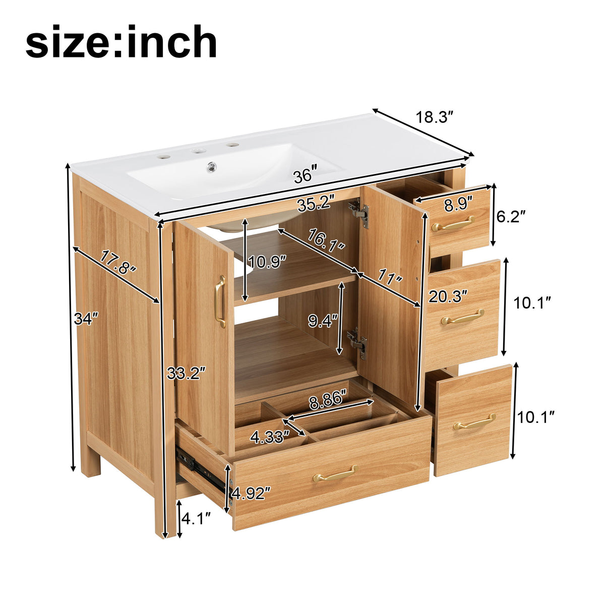 Bathroom vanity cutaway showing adjustable shelf, open door, and drawer storage
