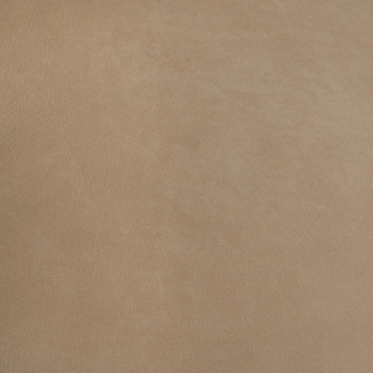 Olivia - Accent Chair
