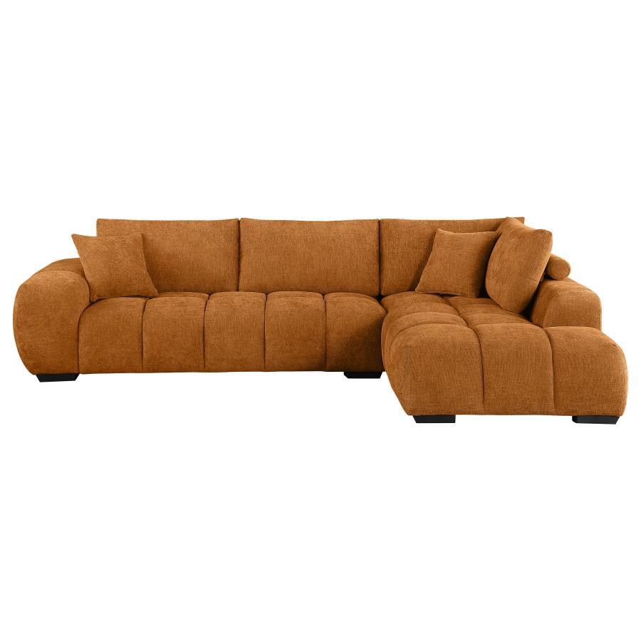 Coaster Furniture Camacho Chaise Sectional Sofa