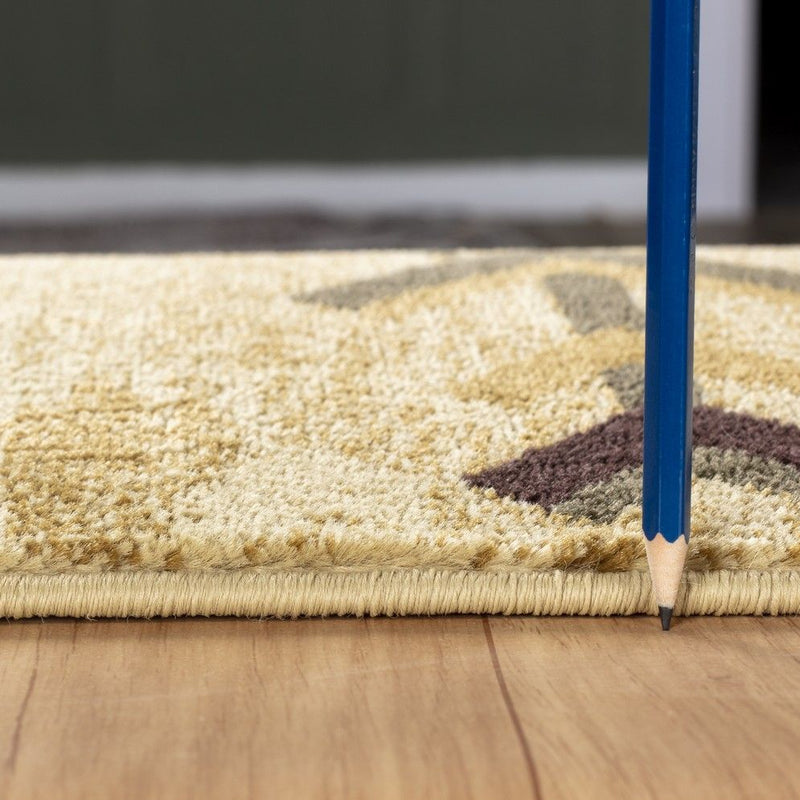 Beige area rug pile texture close-up with tasseled edge and thin border stripe