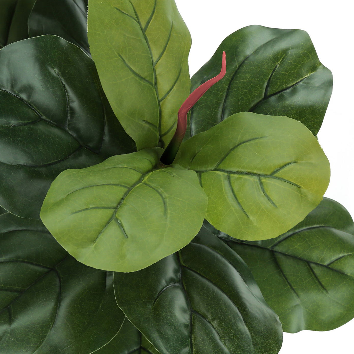 47" Tall, Artificial Plant, Fiddle Tree, Indoor, Faux, Fake, Floor, Greenery, Potted, Real Touch, Decorative - Green / Black