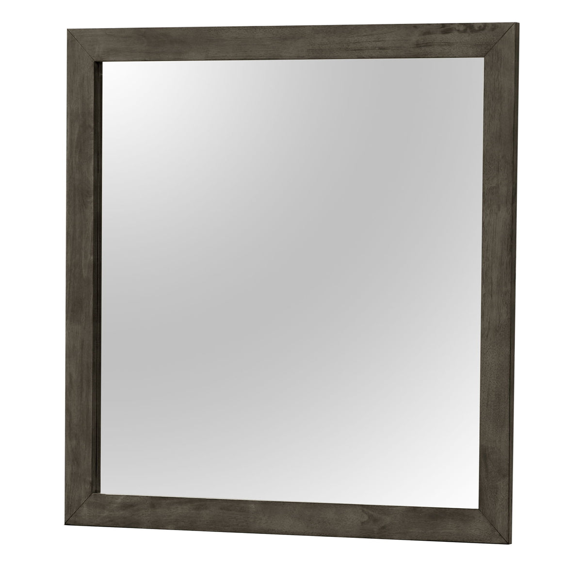 Modern Design Transitional Wall Mirror
