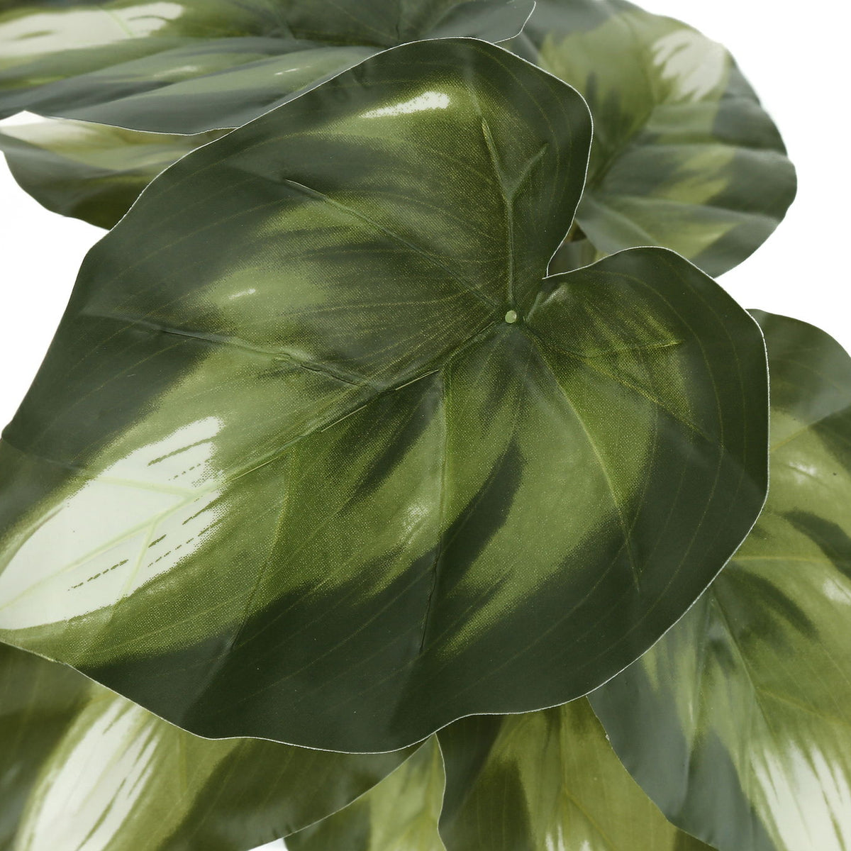 13" Tall, Artificial Plant, Monstera Calthea, Indoor, Faux, Fake, Table, Greenery, Potted, Decorative (Set of 2) - Green / Black