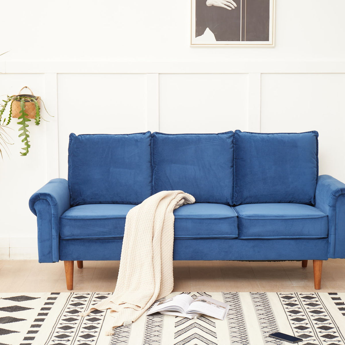 Graceful Design Plush Comfort Sofa