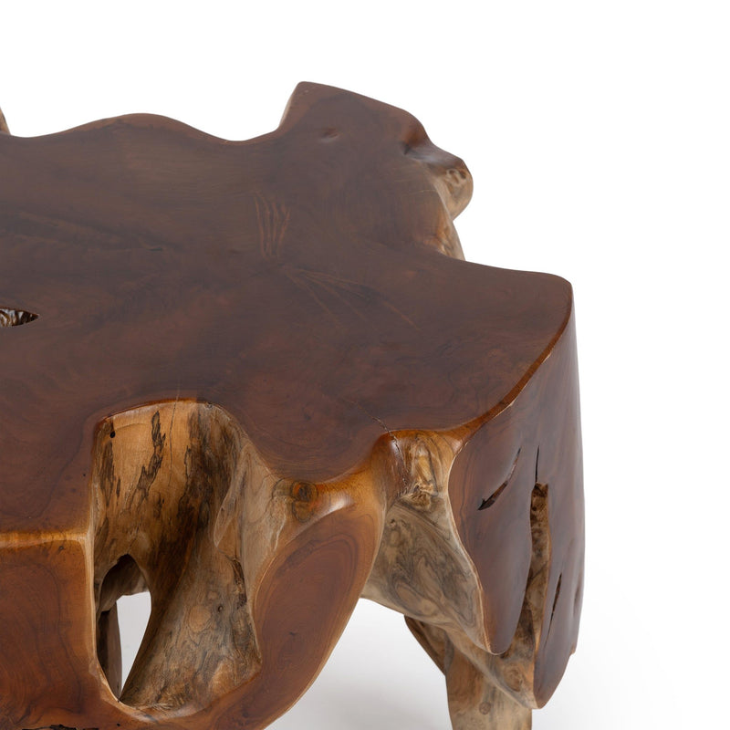Close-up of dark brown tabletop edge and carved root leg with wood grain