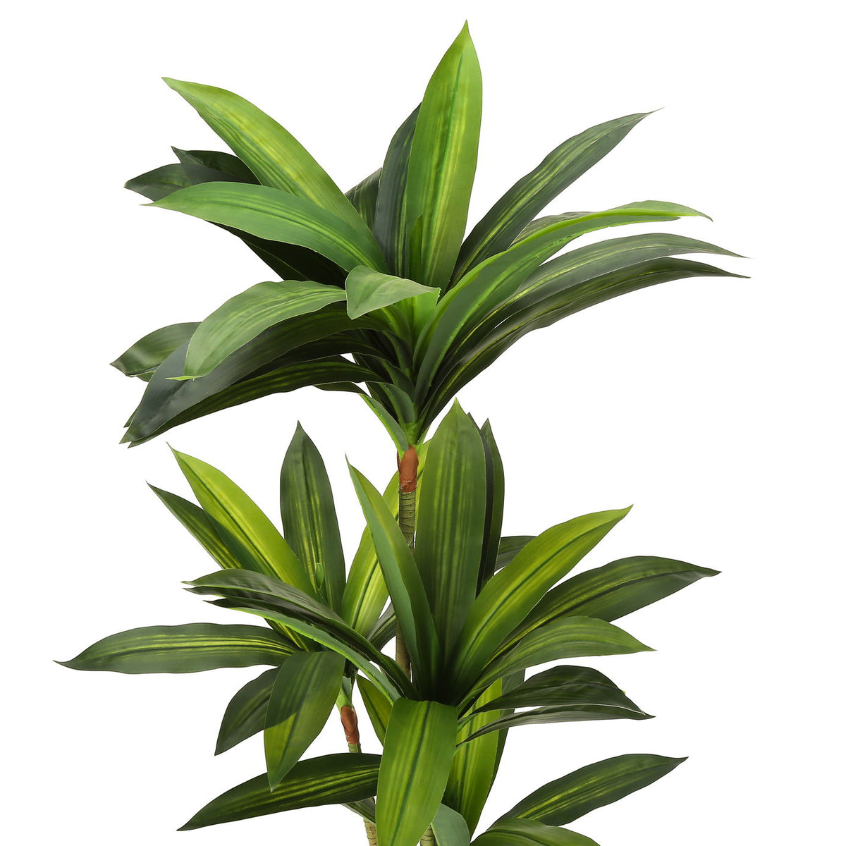 51" Tall, Artificial Plant, Dracaena Tree, Indoor, Faux, Fake, Floor, Greenery, Potted, Real Touch, Decorative - Green / Black