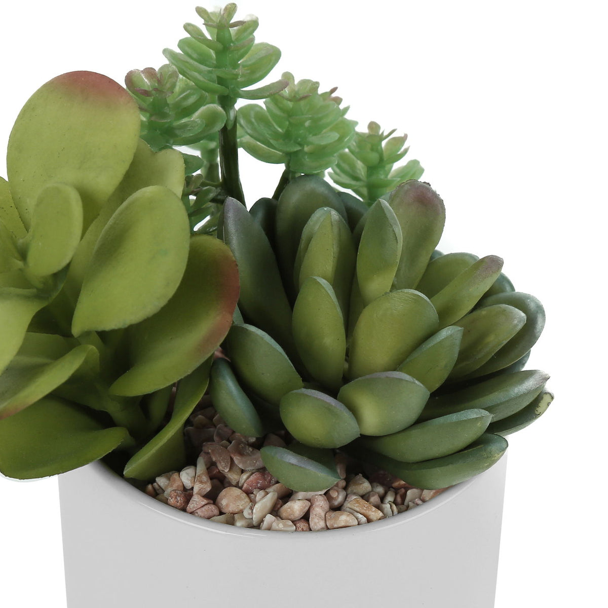 7" Tall, Artificial Plant, Succulent, Indoor, Faux, Fake, Table, Greenery, Potted, Decorative (Set of 2) - Green / White