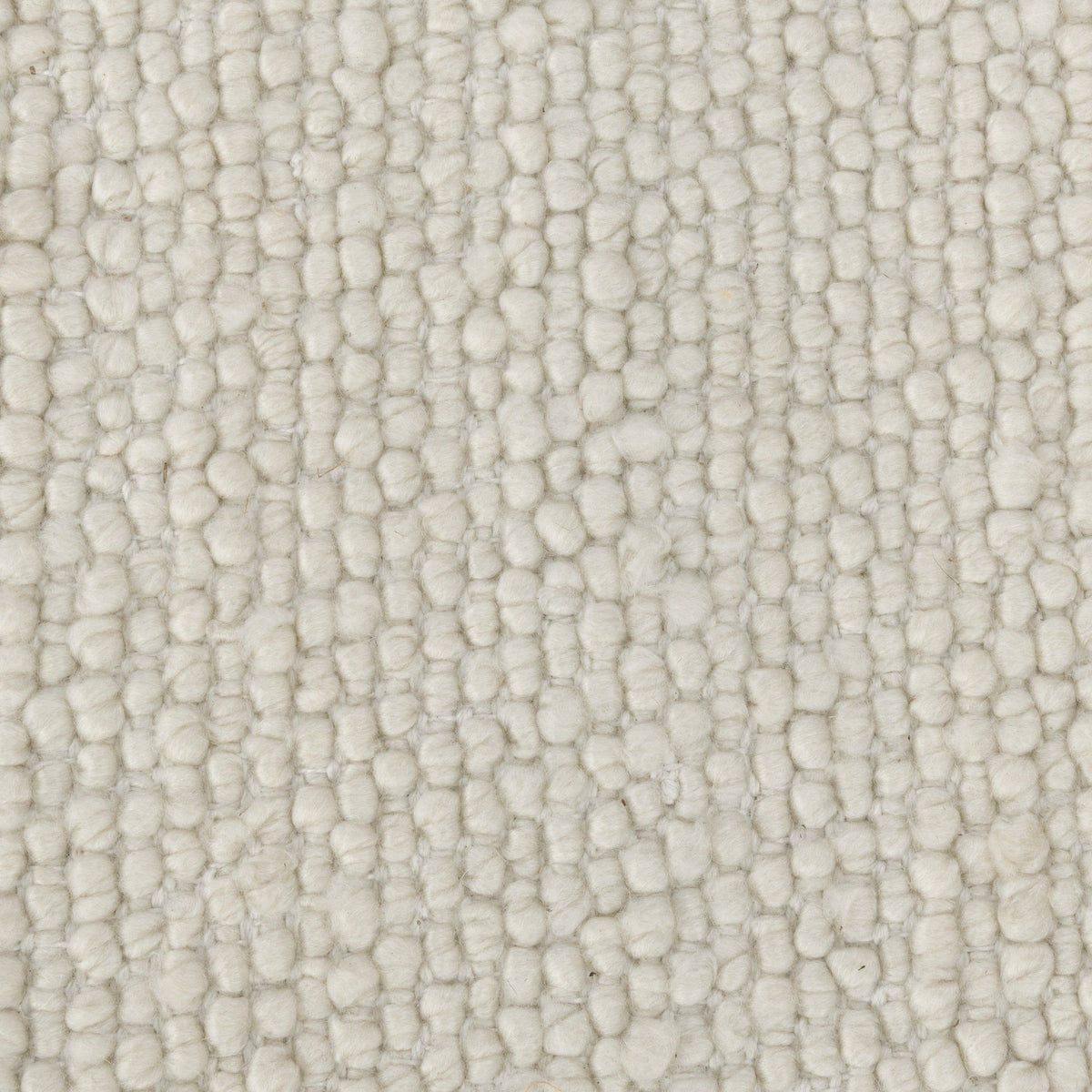 Performance Petaluma - Rug