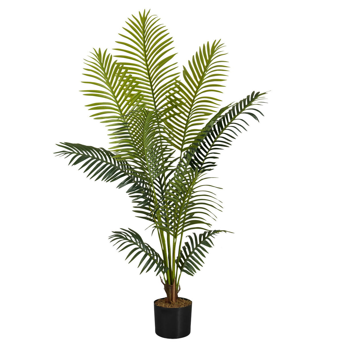 57" Tall, Artificial Plant, Palm Tree, Indoor, Faux, Fake, Floor, Greenery, Potted, Real Touch, Decorative - Green / Black